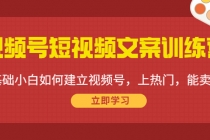 视频号短视频文案训练营:0基础小白如何建立视频号,上热门,能卖货!-创业信息网