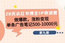 28天小红书博主IP特训营《第9期》做爆款,涨粉变现 单条广告笔记500-10000-创业信息网