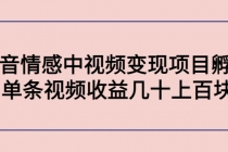 黄岛主副业孵化营第5期:抖音情感中视频变现项目孵化 单条视频收益几十上百-创业信息网