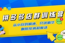 拼多多店群训练营:从小白到精通,只讲精华,剔除推销和废话-创业信息网