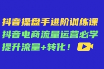 抖音操盘手进阶训练课:抖音电商流量运营必学,提升流量+转化!-创业信息网