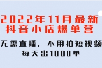 2022年11月最新抖音小店爆单训练营:无需直播,不用拍短视频,每天出1000单-创业信息网