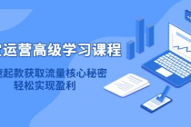 淘宝运营高级学习课程:快速获取流量核心秘密,轻松实现盈利!-创业信息网