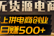 抖上拼无货源电商创业项目、外面收费12800,日赚500+的案例解析参考-创业信息网
