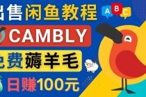 闲鱼赚钱小技巧,每单净赚10元,日赚100元 – 出售Cambly注册教程-创业信息网