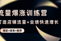 流量爆涨训练营:打造店铺流量+业绩快速增长 (爆款+搜索+推荐)-创业信息网