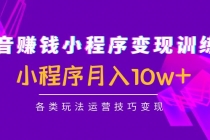 抖音赚钱小程序变现训练营:小程序月入10w+各类玩法运营技巧变现-创业信息网