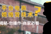 外面收费2980的全平台电商白嫖撸货技术-创业信息网