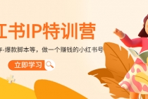 小红书IP特训营:从搭建-制作-爆款脚本等等,做一个赚钱的小红书号-创业信息网