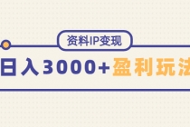 资料IP变现,能稳定日赚3000起的持续性盈利玩法-创业信息网