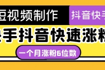 短视频油管动画-快手抖音快速涨粉：一个月粉丝突破6位数  轻松实现经济自由-创业信息网