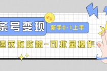 2023头条号实操变现课:新手0-1轻松上手,快速获取收益-可批量操作-创业信息网