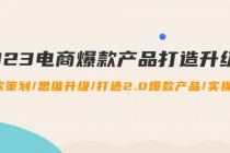 2023电商爆款产品打造升级课:爆款策划/思维升级/打造2.0爆款产品/【推荐】-创业信息网
