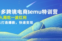 拼多多跨境电商temu特训营:先入局吃一波红利,从0到1打造爆款,快速变现-创业信息网