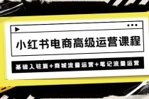 小红书电商高级运营课程:基础入驻篇+商城流量运营+笔记流量运营-创业信息网