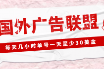 外面收费1980最新国外LEAD广告联盟搬砖项目,单号一天至少30美金(详细教程)-创业信息网