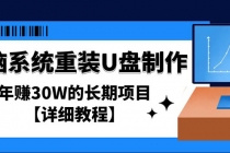 电脑系统重装U盘制作，年赚30W的长期项目【详细教程】-创业信息网