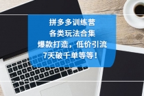 拼多多训练营:各玩法合集,爆款打造,低价引流,7天破千单等等!-创业信息网