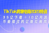 TikTok跨境电商2023特训:35亿下载+10亿月活,不能错过的亿级红利风口-创业信息网