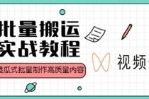 视频号批量搬运实战赚钱教程,傻瓜式批量制作高质量内容【附视频教程+PPT】-创业信息网