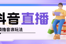 抖音暴力福袋撸音浪玩法,小白直接干,每天几百+【详细教程】-创业信息网