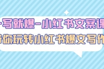 一写就爆-小红书文案课:带你玩转小红收爆文写作-创业信息网