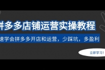 拼多多店铺运营实操教程:快速学会拼多多开店和运营,少踩坑,多盈利-创业信息网