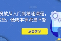 万相台投放·新手到精通课程,学会这些,低成本拿流量不愁!-创业信息网