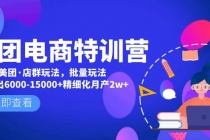 美团电商特训营：美团·店群玩法，无脑铺货月产出6000-15000+精细化月产2w+-创业信息网