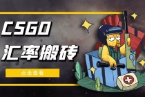 外面9800的CSGO汇率搬砖项目,一个月轻松赚几千【选品软件+详细教程】-创业信息网