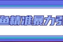 闲鱼精准暴力引流全系列课程,每天被动精准引流200+客源技术-创业信息网