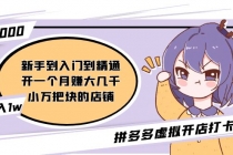 拼多多虚拟开店打卡群:入门到精通2月26更新-创业信息网