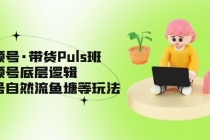 视频号·带货Puls班,视频号底层逻辑,起号自然流鱼塘等玩法-创业信息网