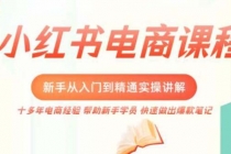 小红书电商新手入门到精通实操课,从入门到精通做爆款笔记,开店运营-创业信息网