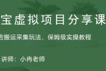 淘宝虚拟整店搬运采集玩法分享课:整店搬运采集玩法,保姆级实操教程-创业信息网