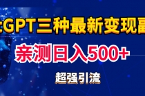 实操日入500+的CGPT三种变现副业:有手就行的暴力引流【教程+源码】-创业信息网