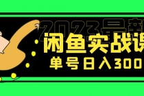 花599买的闲鱼项目:2023最新闲鱼实战课,单号日入300+-创业信息网