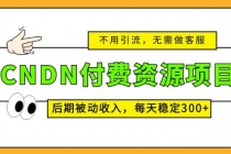 CNDN付费资源项目,不用引流,无需做客服,后期被动收入,每天稳定300+-创业信息网