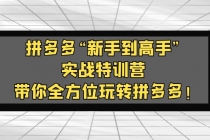 拼多多“新手到高手”实战特训营:带你全方位玩转拼多多!-创业信息网