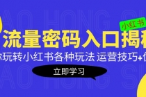 小红书流量密码入口揭秘:带你玩转小红书各种玩法 运营技巧+优化!-创业信息网