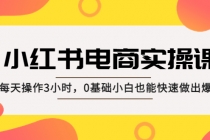 小红书·电商实操课:每天操作3小时,0基础小白也能快速做出爆款!-创业信息网