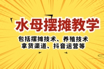 水母·摆摊教学,包括摆摊技术、养殖技术、拿货渠道、抖音运营等-创业信息网