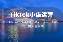 TikTok小店运营 抢占TikTok全球蓝海市场,开店、运营、带货、投流全实操-创业信息网