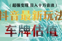 抖音最新无人直播变现直播车牌估值玩法项目 轻松日赚几百+【详细玩法教程】-创业信息网