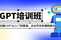 2023最新CGPT培训班:玩赚CGPT从入门到精通 自动写各种爆款脚本(3月23更新)-创业信息网