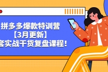 拼多多爆款特训营【3月更新】,全套实战干货复盘课程!-创业信息网