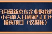 3月最新京东企业购教程，小白单人日利润500+撸货项目-创业信息网