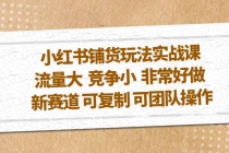 小红书铺货玩法实战课,流量大 竞争小 非常好做 新赛道 可复制 可团队操作-创业信息网
