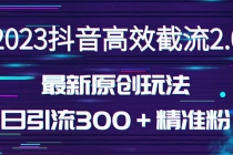 日引300+创业粉,独家抖音高效截流2.0玩法-创业信息网