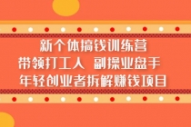 新个体搞钱训练营:带领打工人 副操业盘手 年轻创业者拆解赚钱项目-创业信息网
